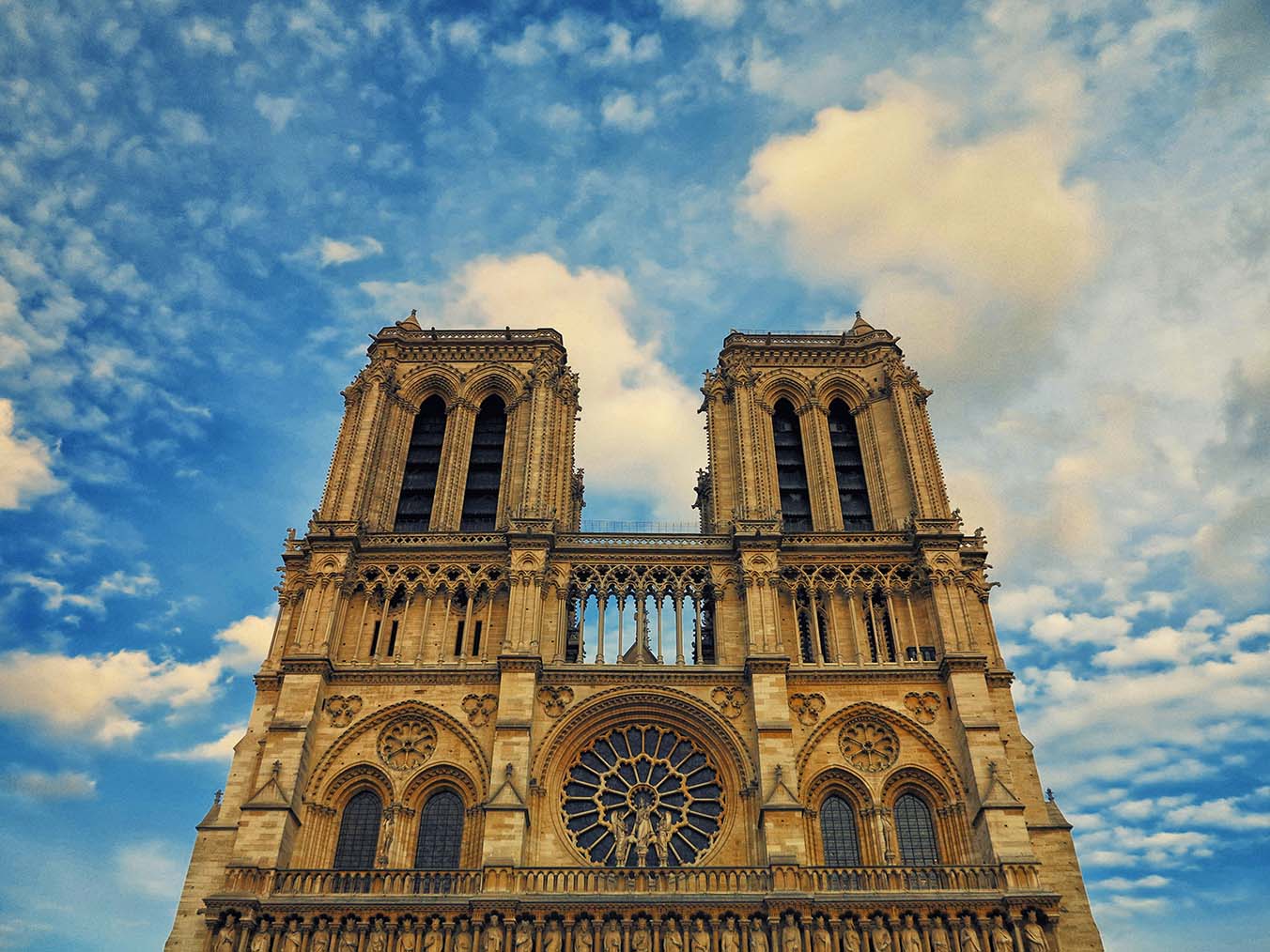 catedral de notre dame vano